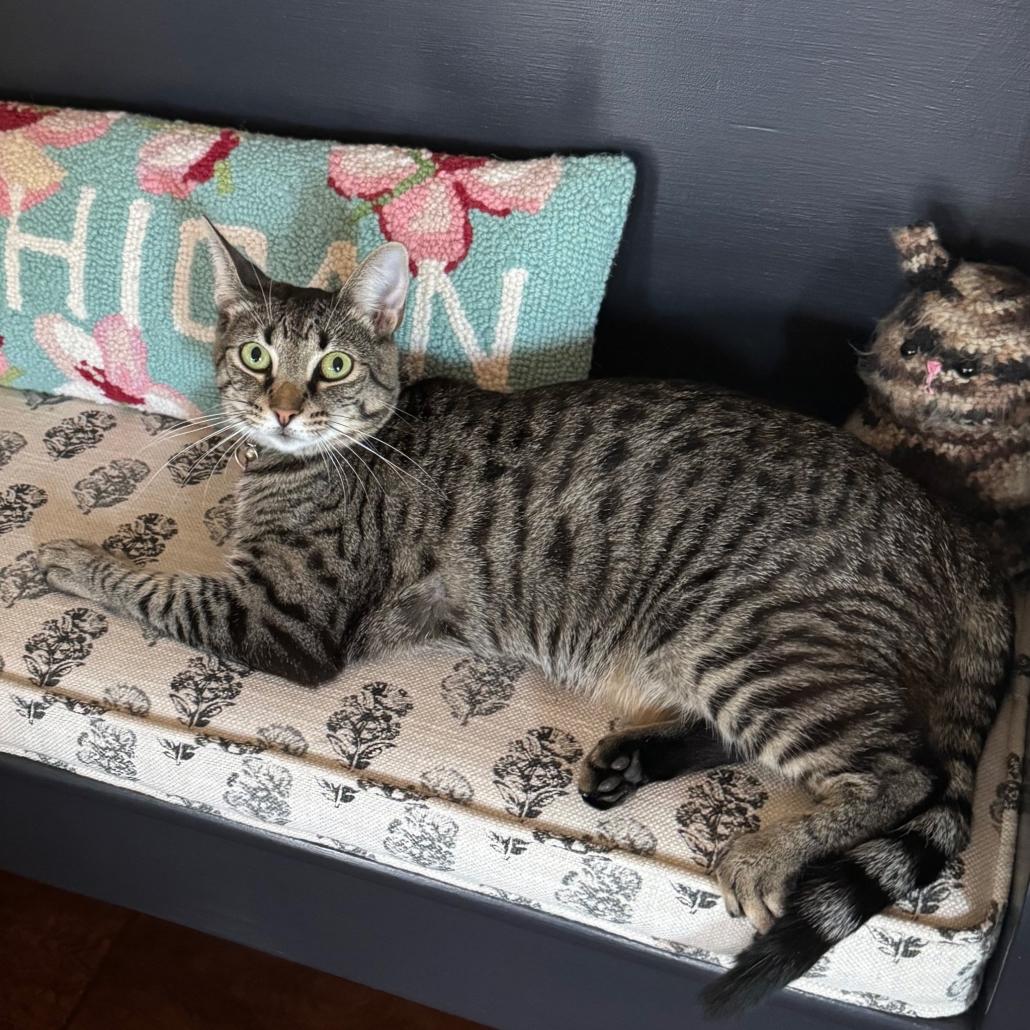 Porsche McKee Porsche McKee