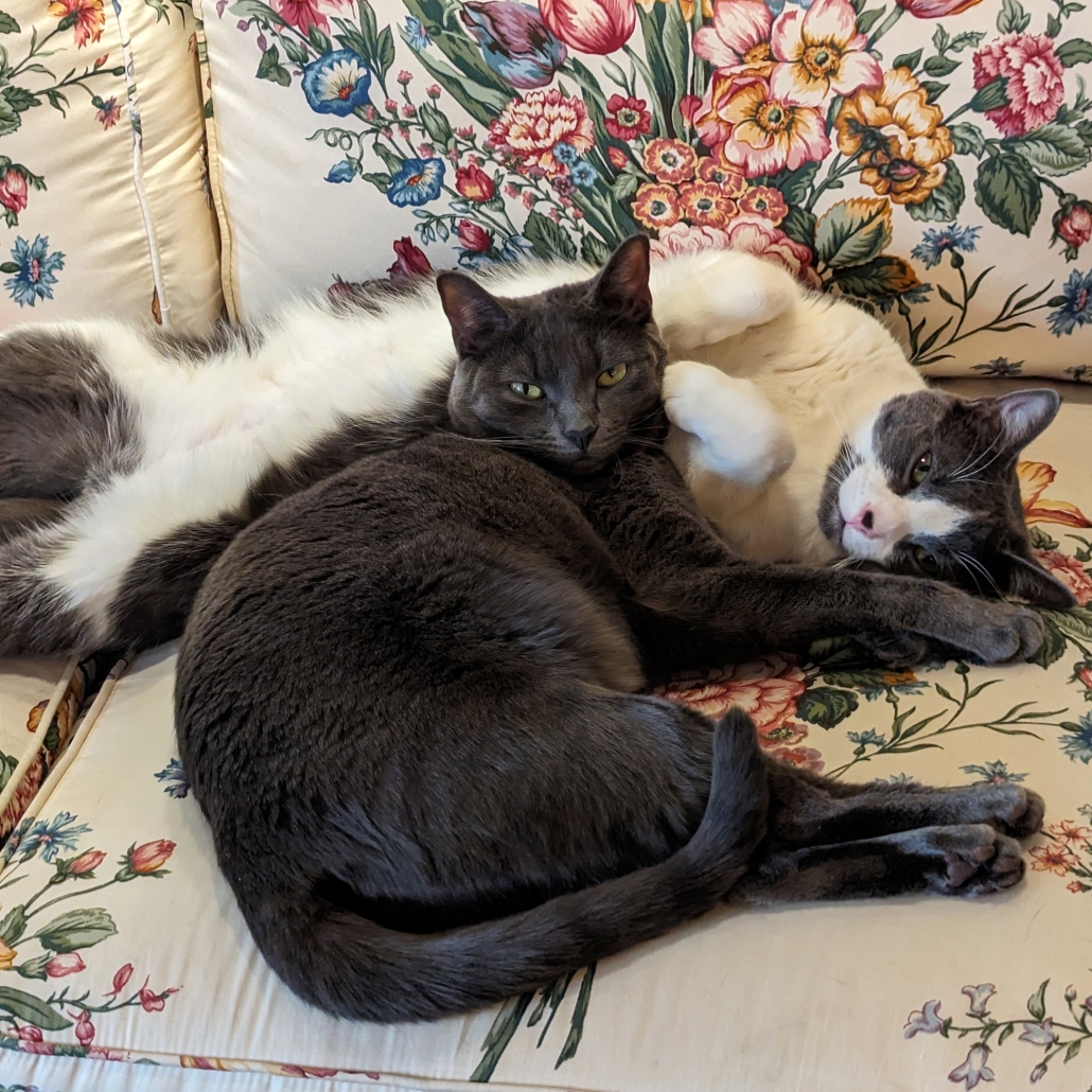 Topsy & Turvy Stephenson